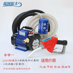 電動抽油泵12v24v220v汽油柴油加油泵車載防爆輸油泵手提式抽油機(jī)